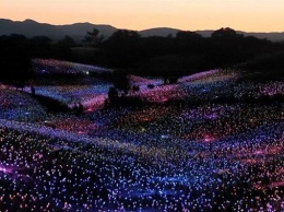 Волшебное поле из фонариков появилось в Калифорнии (видео)