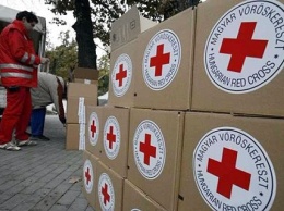 Красный крест направил 11 грузовиков гумпомощи на Донбасс
