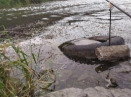 В Запорожье сточные воды дока принесли необычное животное (ФОТО)