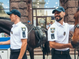 Нацполиция вывела в центр Киева лошадей и арестовывала журналистов