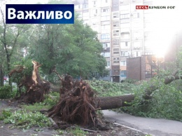 Как получить материальную помощь в Кривом Роге гражданам, пострадавшим от бури, накрывшей город 2 июля