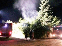 На Закарпатье неизвестные сожгли два автомобиля