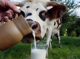 Также молоко помогает предотвратить некоторые хронические заболевания