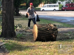 Жилой сектор в Кривом Роге подключить к электроснабжению должны уже сегодня