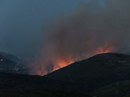 На греческом острове до сих пор тушат лесной пожар, несколько сел эвакуировали