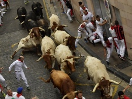 В Испании состоялся экстремальный забег с быками: есть пострадавшие