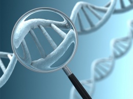 Ученые требуют запретить редактуру генов детей во всем мире