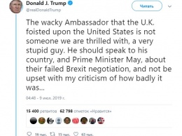 "Дурацкий посол, которого Великобритания навязала США". Трамп разнес в Twitter Терезу Мэй