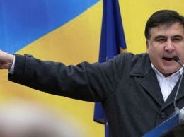 Саакашвили сломал руку пенсионерке во время пикета в одесском суде