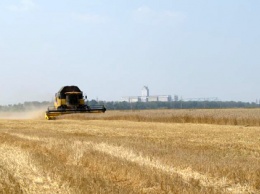 Харьковские аграрии намолотили первый миллион тонн зерна нового урожая