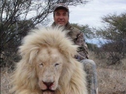 Соцсети всколыхнули снимки политика с убитыми африканскими животными (фото)