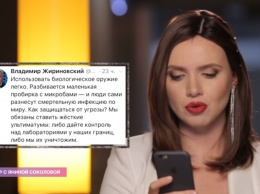 ''Стекловатник для великоросса'': Соколова высмеяла маразм Жириновского об Украине