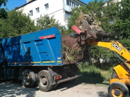 Работники совершают покос травы в Симферополе ежедневно, - коммунальщики города