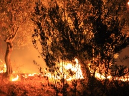 Всего 60 километров отделяют курорт Фетхие от эпицентра пожара