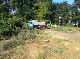 В Мелитополе приступили к строительству бассейна (фото)