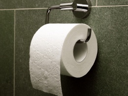 Граждан призвали не использовать туалетную бумагу: назван альтернативный вариант