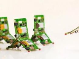 Созданы роботы-муравьи, которые могут сообща и преодолевать сложную местность