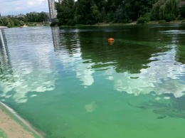В Киеве позеленели реки (фото)