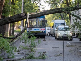 Куда звонить в Днепре, если что-то случилось или произойдет