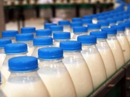 В Украине заработали новые требования к качеству молока