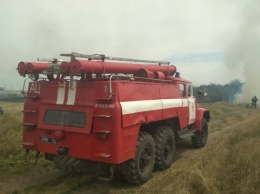 В Верхнем Рогачике ликвидирован пожар сухостоя