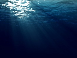 Водолазы обнаружили в океане морского дьявола: "просил помощи"