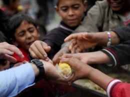 В мире голодает 820 миллионов людей, - исследование ООН