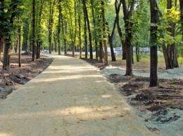 В Днепре парк возле ДНУ начали реконструировать