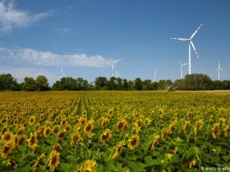 Германия бьет рекорды в "зеленой энергетике": что за этим стоит?
