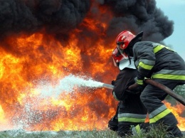 В Харьковской области горела трава: есть пострадавшие