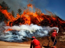 В результате пожаров в Португалии пострадали 20 человек