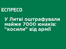 В Литве оштрафовали почти 7000 юношей: "косили" от армии