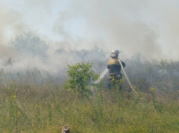 В Царичанском районе сгорело 2 гектара поля