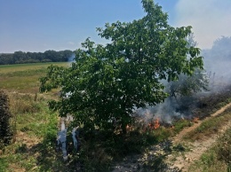 Спасатели потушили пожар на площади одного гектара в Феодосии