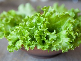 Эксперт: листовые салаты полезны для борьбы с усталостью и гипертонией