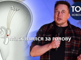 "Мозговой штурм" Илона Маска: Что такое Neuralink и как он изменит мир