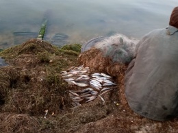 «Рыбачка Соня», выявленная Николаевским рыбоохранным патрулем, браконьерила на Днепро-Бугском лимане (ФОТО)