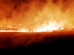 В Николаеве трижды за сутки поджигали Балабановский лес