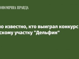 Стало известно, кто выиграл конкурс по морскому участку "Дельфин"