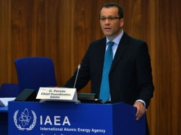 Румынский дипломат временно возглавит МАГАТЭ