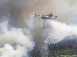Чем так опасны для планеты лесные пожары в Сибири и на Аляске
