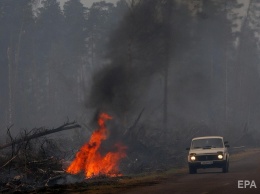 "Гринпис": Ситуация с лесными пожарами в РФ превратилась в экологическую катастрофу