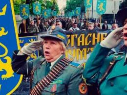 У Зеленского подняли тему "фашисто-бандеровцев": военные преступники