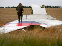 Малайзия призвала не обвинять Россию в крушении MH17