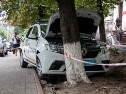 В центре Киева сотрудник госохраны врезался в дерево и умер от судорог