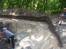 Международная археологическая экспедиция на Черниговщине исследовала поселение X века