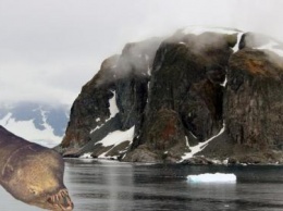 Радиоактивный пепел пробудил в Антарктиде древнего червя-мутанта