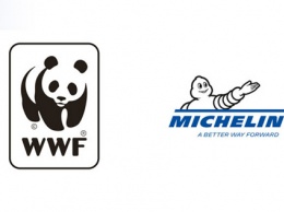 Мишлен продолжит сотрудничество с Всемирным фондом дикой природы