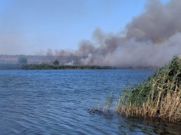 На Николаевщине выгорело 42, 4 га открытых территорий, - ФОТО