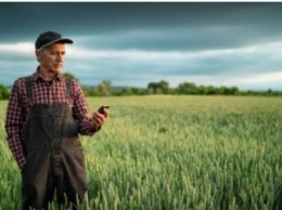 Аграрии высчитали цену украинской земли после отмены моратория на продажу